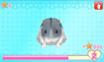 Oshare Hamster to Kurasou - Issho ni Odekake (Japan) screen shot game playing